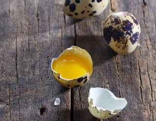 Товщина шкаралупи яєць птиці свідчить про забезпеченість вітаміном D3